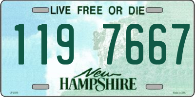 NH license plate 1197667