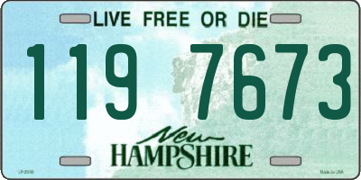 NH license plate 1197673