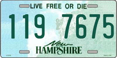 NH license plate 1197675