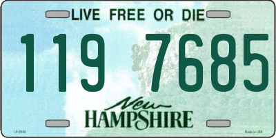 NH license plate 1197685