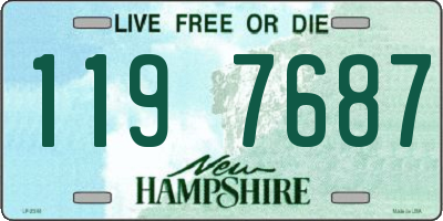 NH license plate 1197687