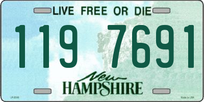 NH license plate 1197691