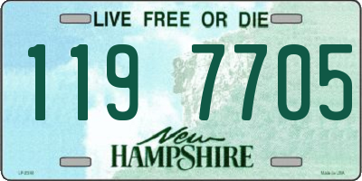 NH license plate 1197705