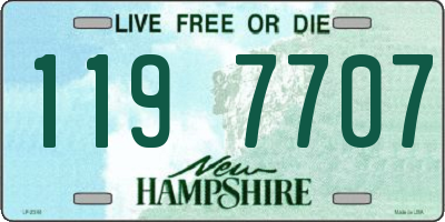 NH license plate 1197707