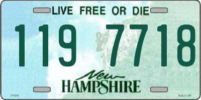 NH license plate 1197718