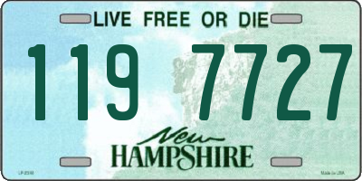 NH license plate 1197727