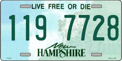 NH license plate 1197728