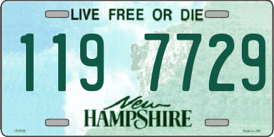 NH license plate 1197729