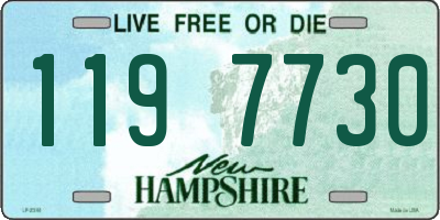 NH license plate 1197730