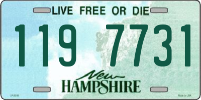 NH license plate 1197731