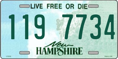 NH license plate 1197734