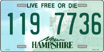 NH license plate 1197736