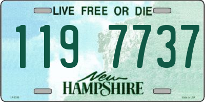 NH license plate 1197737