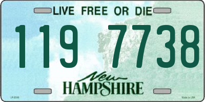 NH license plate 1197738