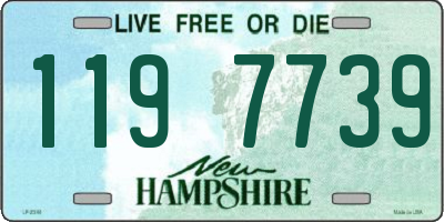NH license plate 1197739