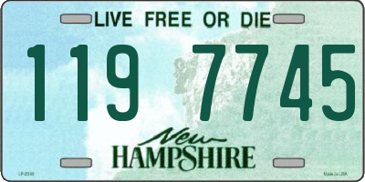 NH license plate 1197745