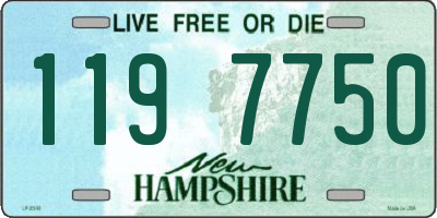 NH license plate 1197750