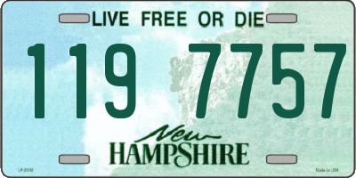 NH license plate 1197757