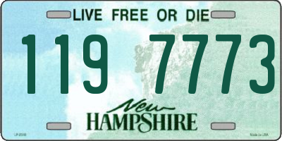 NH license plate 1197773