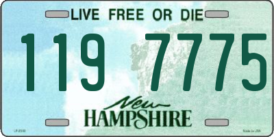 NH license plate 1197775