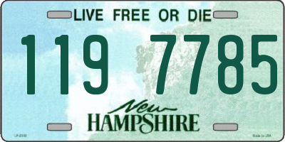 NH license plate 1197785