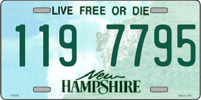 NH license plate 1197795