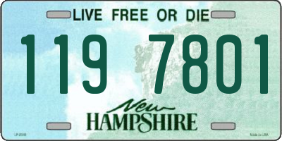 NH license plate 1197801