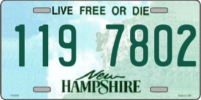 NH license plate 1197802