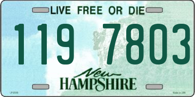 NH license plate 1197803