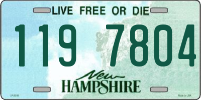 NH license plate 1197804