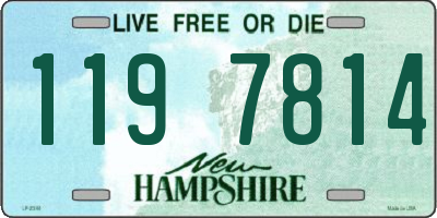 NH license plate 1197814