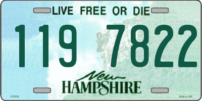 NH license plate 1197822