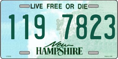 NH license plate 1197823