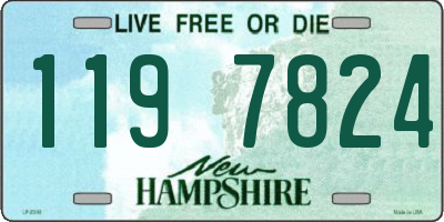 NH license plate 1197824