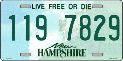 NH license plate 1197829