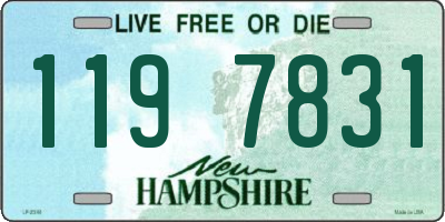 NH license plate 1197831