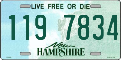 NH license plate 1197834