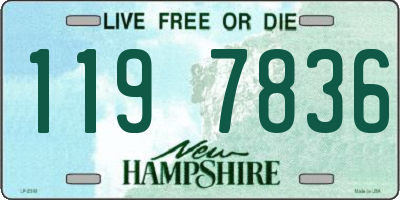 NH license plate 1197836