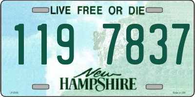 NH license plate 1197837