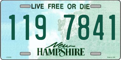 NH license plate 1197841