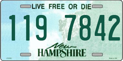 NH license plate 1197842