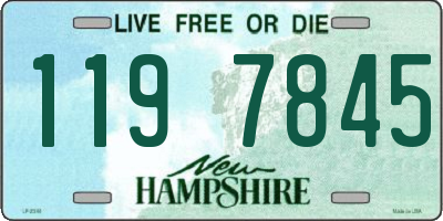 NH license plate 1197845
