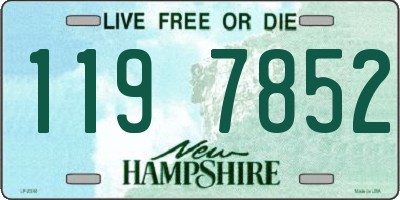NH license plate 1197852