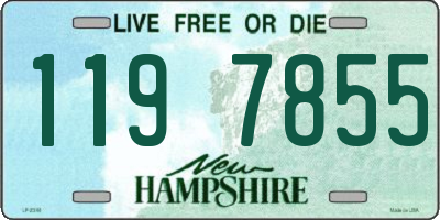 NH license plate 1197855