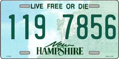 NH license plate 1197856