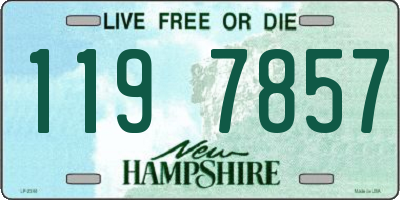 NH license plate 1197857