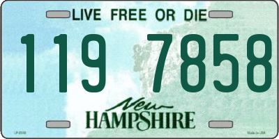 NH license plate 1197858