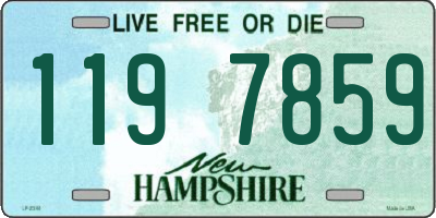 NH license plate 1197859