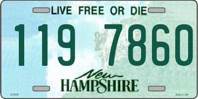 NH license plate 1197860