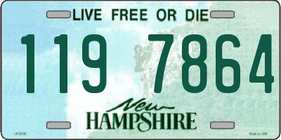 NH license plate 1197864